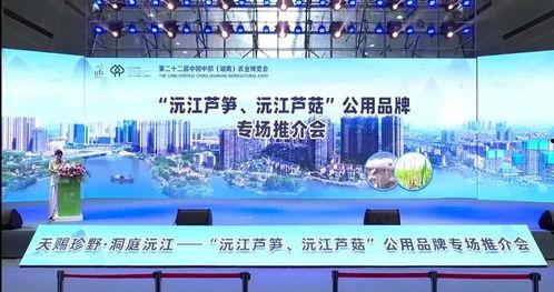 沅江新闻爆料网站官网,聚焦本土热点，传递民生声音