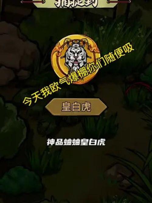 蛐蛐也疯狂最新爆料,最新爆料揭秘幕后故事 第3张 蛐蛐也疯狂最新爆料,最新爆料揭秘幕后故事 第3张